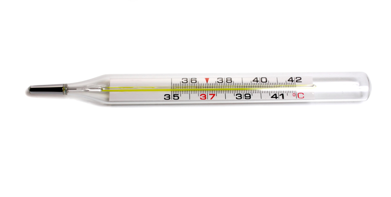 medical thermometer isolated on white background